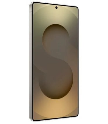 Samsung S25 Ultra 12/256 GB Titanium Grey