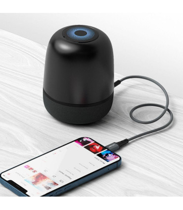 AceFast Aux - Lightning C1-06 (SZARY) | Smartfon Studio