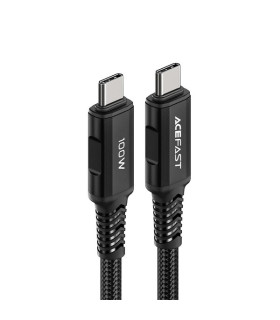 Acefast Kabel Typ C-Typ C 2m 100W 20V/3A C4-03