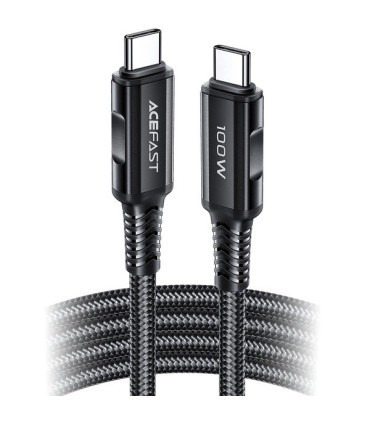 Acefast Kabel Typ C-Typ C 2m 100W 20V/3A C4-03