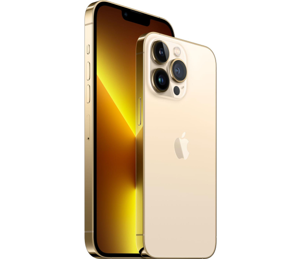 Tył iPhone 13 Pro Max w kolorze złotym