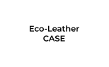 Eco Leather